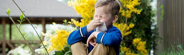 A child sneezing into his handkerchief